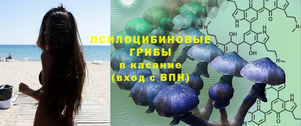 ГАЛЛЮЦИНОГЕННЫЕ ГРИБЫ Армянск