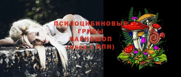 спиды Аркадак